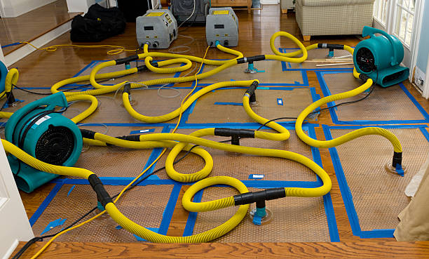 Professional Basement Flood Cleanup technician working in Wasco, CA